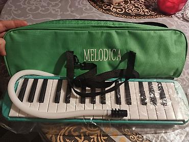 Nəfəs alətləri: Məhsul: Melodika (ağızlı klavişli musiqi aləti) Xüsusiyyətlər: - 32 — 1