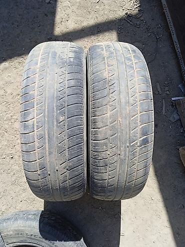 lt 46: Шины 195 / 65 / R 15, Лето, Б/у, Пара, Легковые, Китай, Bridgestone — 1