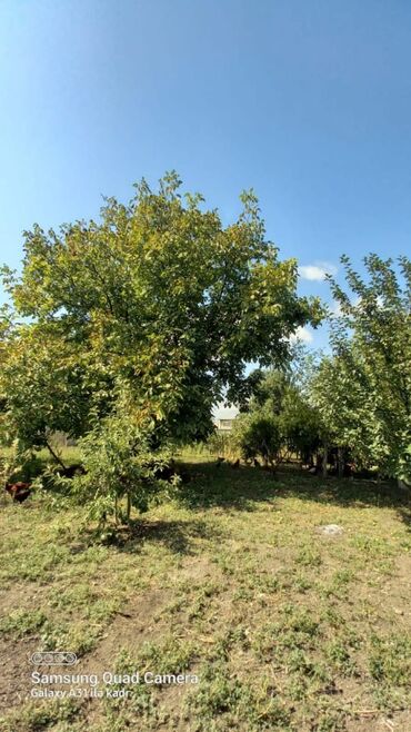 Həyət evləri və villaların satışı: 6 otaqlı, 150 kv. m, Orta təmir — 67