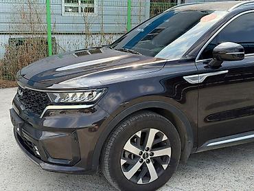 Kia: Kia Sorento: 2022 г., 2.2 л, Дизель — 12