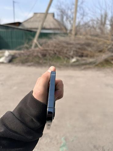 Apple iPhone: IPhone 12 Pro Max, Sierra Blue, Кабель — 3