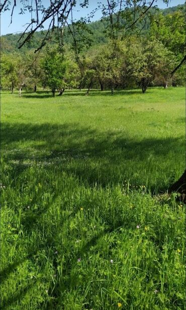 Torpaq sahələrinin satışı: 48 sot, Tikinti, Mülkiyyətçi, Bələdiyyə — 4