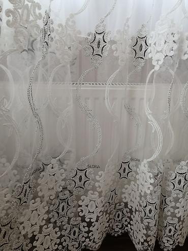 Зоотовары: Təzə. Gloria pərdə tül galeriyasından alınıb. Real eni 6 metr, lakin 3 — 3