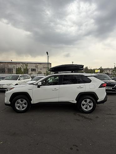 dbscar 2: Toyota RAV4: 2019 г., 2.5 л, Автомат, Гибрид, Кроссовер — 4