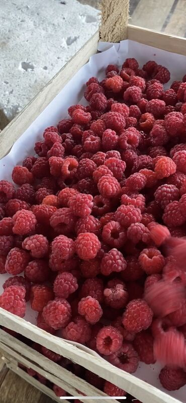 кафель для ванны бишкек цены: Малина В розницу, Самовывоз, Платная доставка