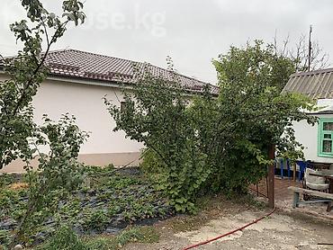 цум подвал: 4 комнаты, 147 м², 8 соток, Бишкек, Собственник — 5