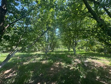 Bağ evlərinin satışı: Xaçmaz, 126 kv. m, 4 otaqlı, Hovuzsuz -da lalafo.az — 15 Bağ evlərinin satışı: Xaçmaz, 126 kv. m, 4 otaqlı, Hovuzsuz — 15