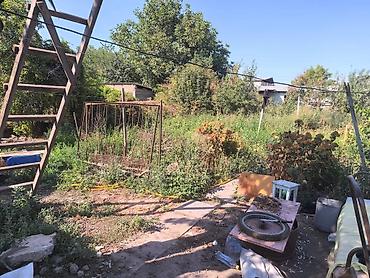 район вефы: 6 соток, Для сельского хозяйства, Договор купли-продажи, Красная книга, Тех паспорт — 2