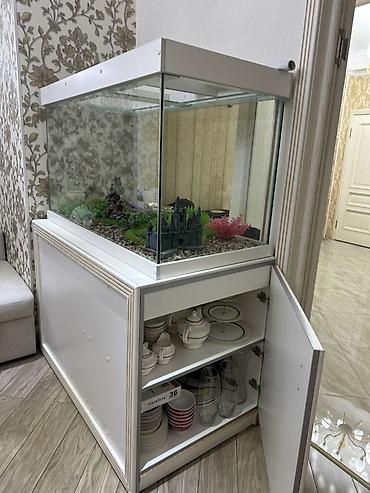 кона: 🐠 Аквариум 500л с тумбой — 125x60x67 см. Идеальное состояние, без — 3