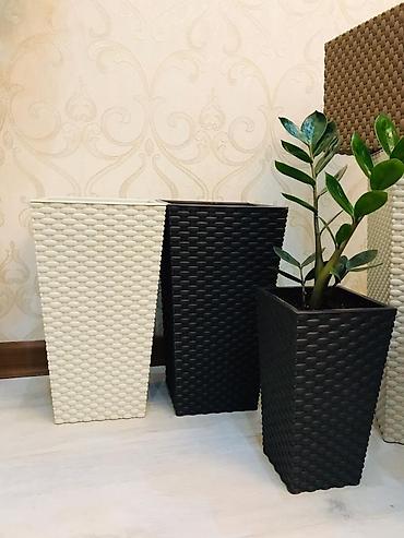 plants: Кашпо для цветов, Цветочные горшки Объем разные Производство — 5