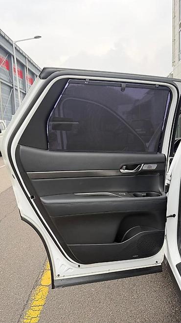 Hyundai: Hyundai Palisade: 2019 г., 2.2 л, Дизель — 13