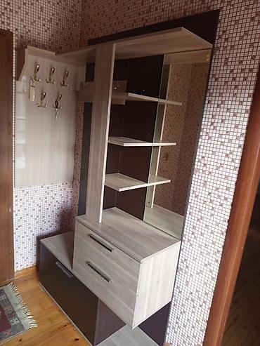 Digər mebel: GnkDehliz dolabi.qiymet 100 man.endirim mumkundur.unvan Badamdar — 1