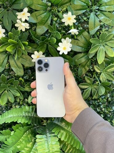 iphone 13 pro ağ: IPhone 13 Pro Max, Face ID, Гарантия