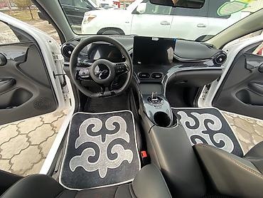 BYD: BYD E2: 2024 г., Автомат — 9