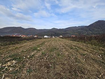 izdavanje kuca: Plac u Lonjinu od 32 ara, opstina Ljubovija, poljoprivredno zemljiste — 3