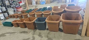 Bitkilər üçün dibçəklər: Dipcekler (Gül dipçekleri) gul qabilar dipcekler ferqli çesidler -da lalafo.az — 18 Bitkilər üçün dibçəklər: Dipcekler (Gül dipçekleri) gul qabilar dipcekler ferqli çesidler — 18