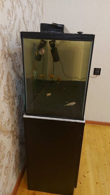 Akvariumlar: Dördbucaq akvarium, Boş, 175 l, Ünvandan götürmə — 8