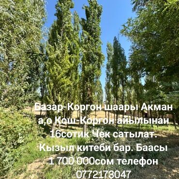 дома на иссык куле: 16 соток, Для строительства, Красная книга