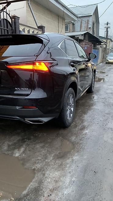 Lexus: Lexus NX: 2019 г., 2 л, Автомат, Бензин, Кроссовер — 10