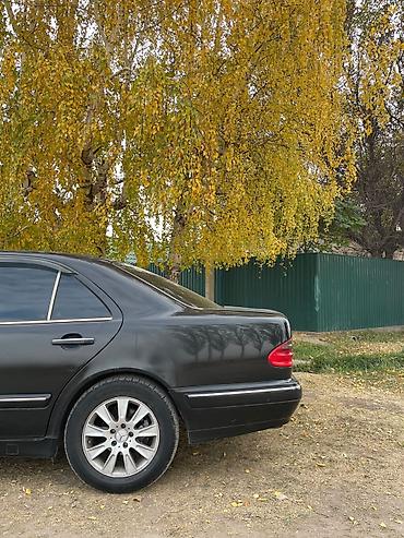 14 сешка: Mercedes-Benz E-Class: 2000 г., 3.2 л, Автомат, Седан — 6