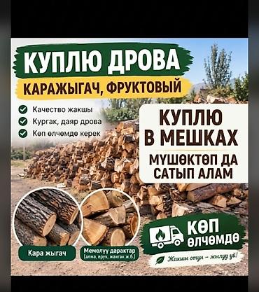 кой сатам: Отун Карагач — 1