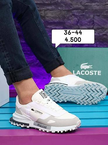 Patike: Tommy,bosa,Lacoste brojevi i cena ispisana na slikama — 7