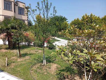 Dam işləri: Naves və Tamet işləri Çardaqlar in qurulması, heyət bağ evlərinin — 8