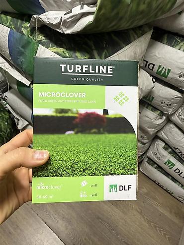 Кормовые растения: Семена кормовых растений: Клевер, Самовывоз, Платная доставка — 7