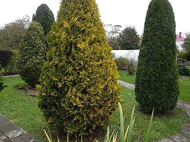 Уборка территории: Уборка территории, Уборка двора и сада, Стрижка газона, Уход за деревьями — 8