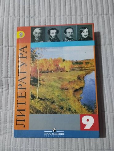 литература 8 класс соронкулов: Учебник в отличном состоянии, русская литература за 9 класс