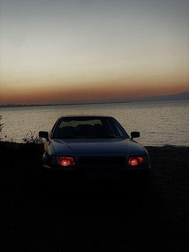 решетка ауди а6: Audi 80: 1992 г., 2 л, Механика, Бензин, Седан