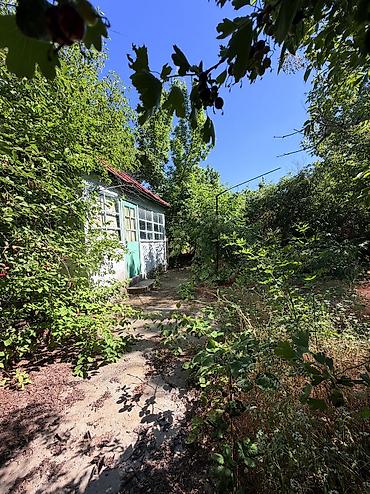 паливной поля: 4 соток, Тех паспорт, Договор купли-продажи — 1