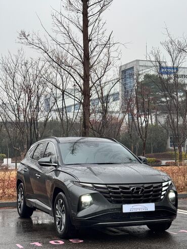 Hyundai: Hyundai Tucson: 2021 г., 1.6 л, Автомат, Гибрид, Кроссовер — 1
