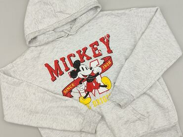 spodnie dresowe pomaranczowe: Disney, Кофта з каптуром жіноча, розмір S на lalafo.pl spodnie dresowe pomaranczowe: Disney, Кофта з каптуром жіноча, розмір S