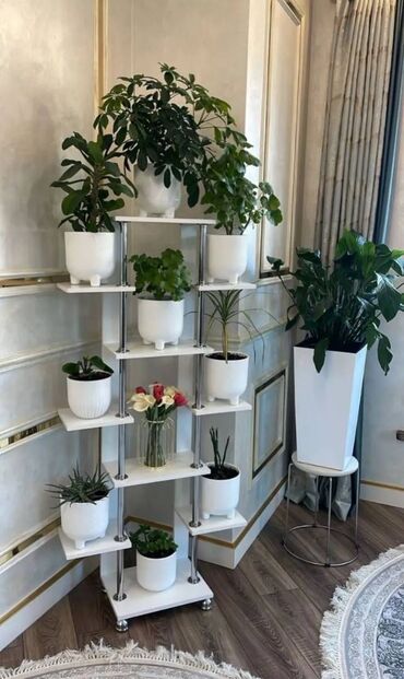 дешевые квартиры в оше: 1 комната, 40 м², Элитка, 5 этаж, Евроремонт