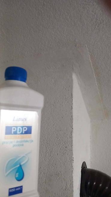 Kućna hemija i proizvodi za kuću: 🌿 PDP koncentrat – efikasno protiv buđi! 🌿 Za zdrav i čist dom bez — 22