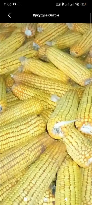 кухонные посуды: Кукуруза Оптом — 1