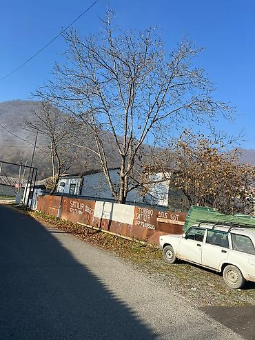 sans tibb merkezi gence: 11 sot, Tikinti, Kupça (Çıxarış) — 7