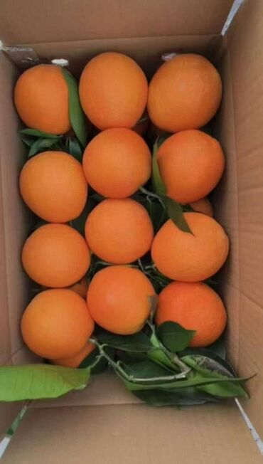 продукты для суши оптом: Мандариндер Дүңүнөн, Өзү алып кетүү