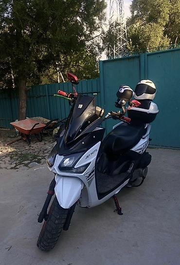 Ищу мопед самурай ямаха макси обмен на айфон 12 про АКБ 100 с моей