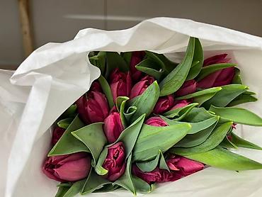 Букеты из живых цветов: Тюльпаны срезанные, свежие, прямые поставки. - Ассортимент — 9