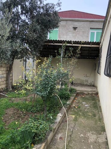 Uzunmüddətli kirayə evlər: Masazirda rahat markEte yaxin 3 otaq oddelni xozeykasiz heyet evi — 5