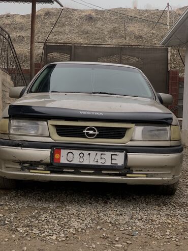 Opel: Opel
