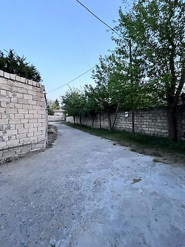 alatava ev: 10 sot, Tikinti, Mülkiyyətçi, Kupça (Çıxarış) — 1