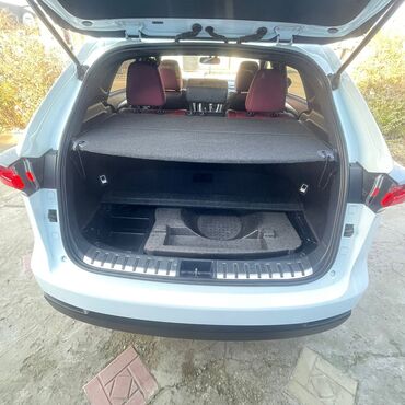 Lexus: Lexus NX: 2017 г., Кроссовер — 10