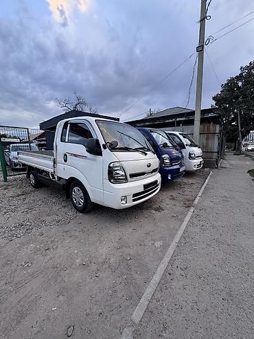 Легкий грузовой транспорт: Легкий грузовик, Hyundai, Стандарт, 3 т, Б/у — 3