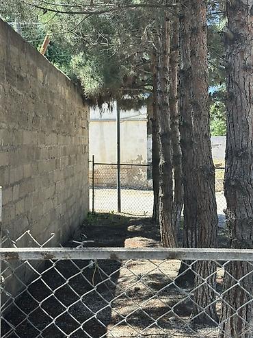 Torpaq sahələrinin satışı: Kənd təsərrüfatı, Kupça (Çıxarış), Texniki pasport — 17