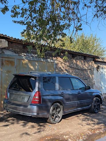 Subaru: Subaru Forester: 2003 г., 2 л, Автомат, Газ — 2