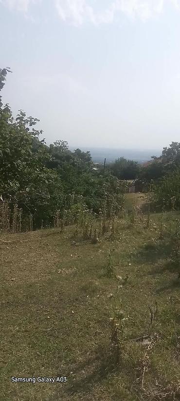 qala torpaq satılır: 18 sot — 8