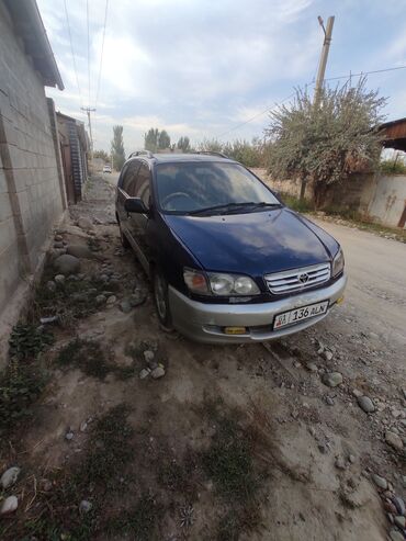 алфард минивен: Toyota Ipsum: 1997 г., 2 л, Автомат, Бензин, Минивэн